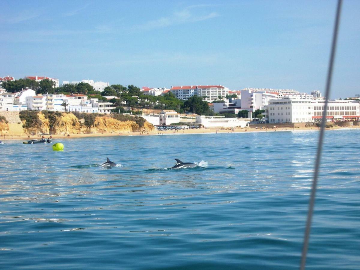 Villa Eber - Independent 1 & 2 Bedroom Apartments, Pool, Air Con, Fast Wi-Fi, Near Old Town Of Albufeira And Beaches Bagian luar foto